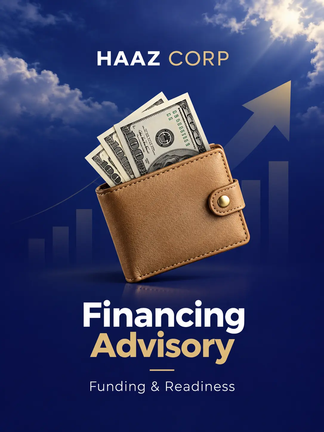 Financing Advisory and Growth